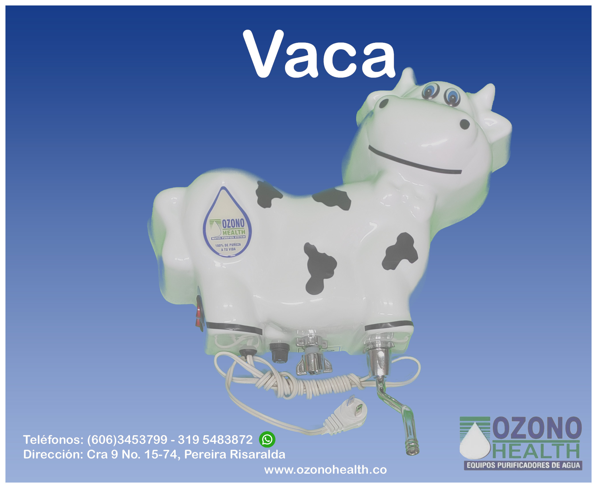 vaca